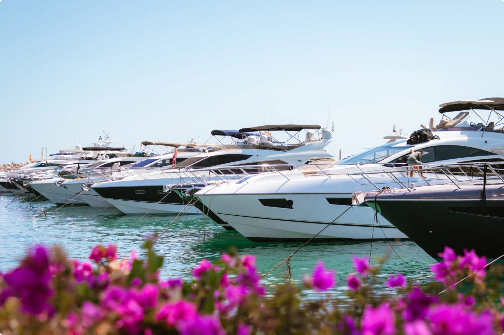 Yachts docked and positioned in a row